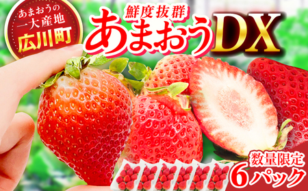 【★先行予約★ 2027年2月より発送】いちご（あまおう）DX等級 3ケース（270g×6パック） / いちご 苺 イチゴ[AFAB073]