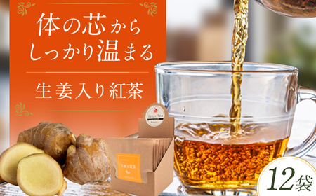 生姜入り紅茶 12袋 / こうちゃ コウチャ お茶 ティー[AFAQ007]