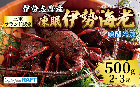 【冷凍】 伊勢海老 500g 2尾 ～ 3尾 伊勢海老