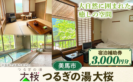 つるぎの湯大桜 宿泊補助券 3,000円分 