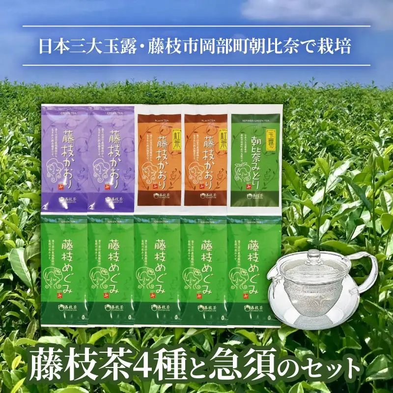 お茶 4種 急須 セット   | 茶茶茶茶