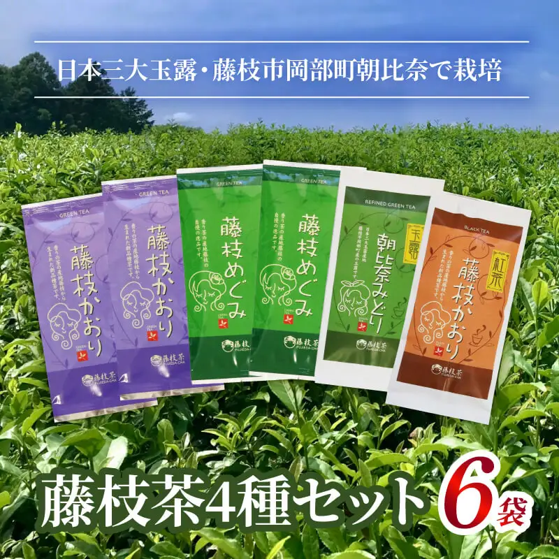 お茶 4種 セット   | 茶茶茶茶