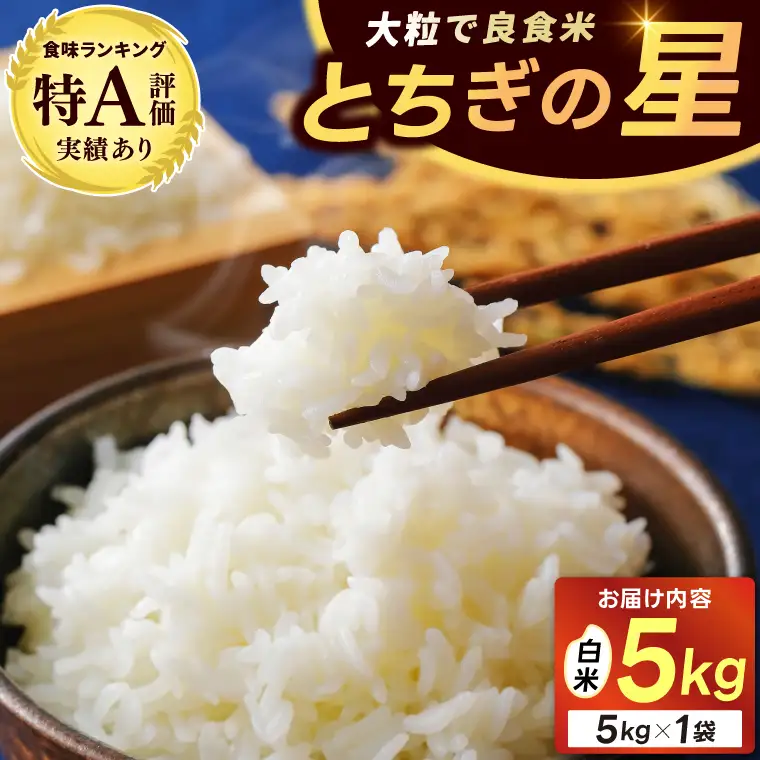 米 令和7年産 とちぎの星 5kg 栃木県産 益子町 AU023-ss