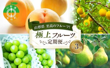 2026年8月発送開始 山形県 至高のフルーツ！山形県極上フルーツ定期便 全3回 F4A-0457