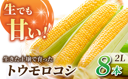 【先行受付2026年発送】生でもすごく甘い！生きた土壌で育った『とうもろこし』2Lサイズ8本｜里山JAPAN ※2026年7月中旬以降発送予定