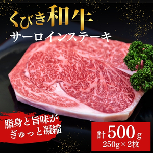 【プロも高評価！】【くびき和牛】 サーロインステーキ 250g×2枚 計500g にいがた和牛 牛肉 ブランド牛 新潟県産 上越市 深雪の郷・くびき牛