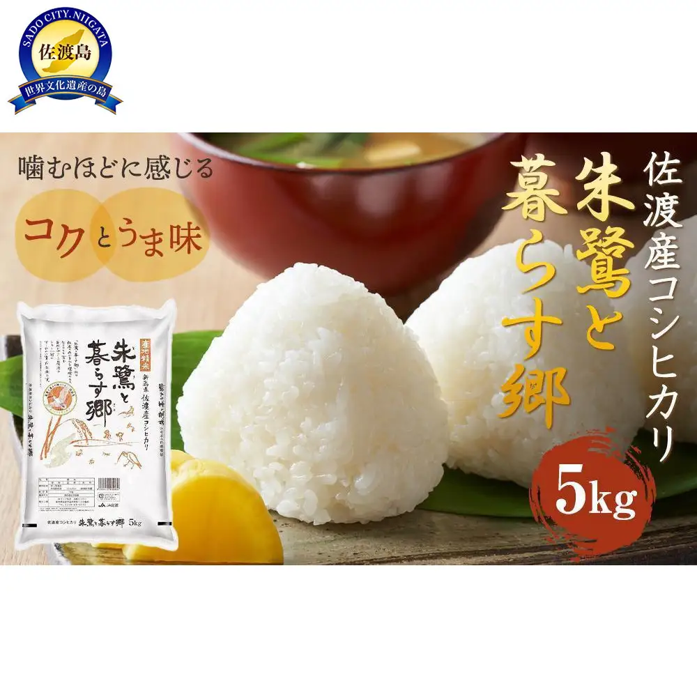 令和7年産 佐渡産コシヒカリ米「朱鷺と暮らす郷」5kg 佐渡・今井茂助商店おすすめ