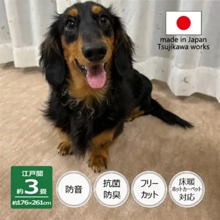 カーペット 江戸間 3畳 防音 ペット対応 厚手 ナンテン 176×261cm ベージュ 日本製【1525633】