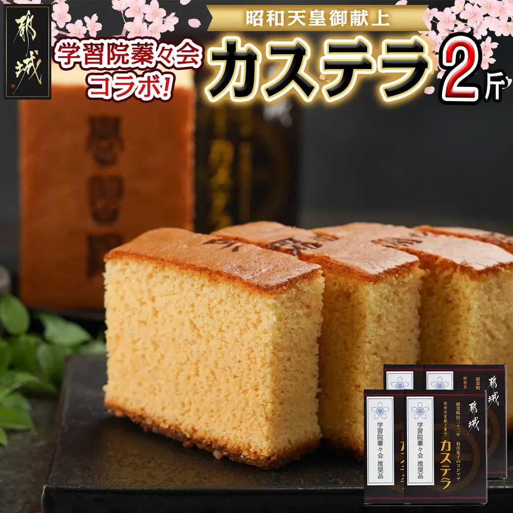学習院蓁々会コラボ☆カステラセット(2斤分)〔16-7601〕_(都城市) 都城産鶏卵使用 0.5斤×4 スイーツ デザート 厳選米飴使用 焼き菓子 お土産 贈答用 ギフト 学習院 蓁々会