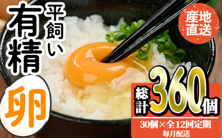 ＜定期便・全12回＞産直・平飼い有精卵 (総計360個・30個×12回(毎月発送)) 卵 玉子 卵かけご飯 玉子焼き 平飼い 鶏 鶏卵 養鶏場直送 朝採れ 新鮮 大分県 佐伯市 【HM05】【佐伯養鶏場】