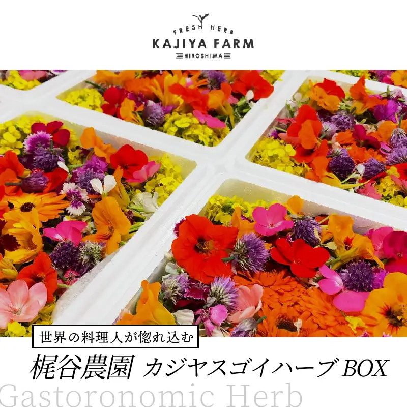 世界の料理人が惚れ込む、広島・梶谷農園のハーブ カジヤスゴイハーブBOX ミシュラン 三つ星 マイクロハーブ　168002