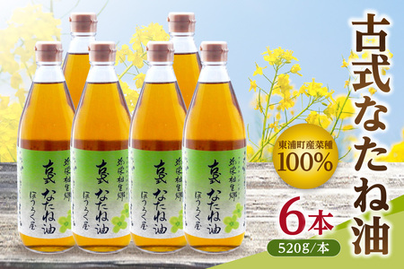 古式なたね油 (東浦町産菜種100%) 520g入り 6本 なたね油 菜種油 ナタネ 健康 無添加 オイル 油 ほうろく屋 自然 リノール酸 リノレン酸 オレイン酸 古式 伝統 愛知県 東浦町