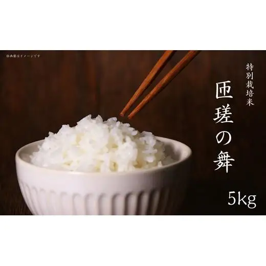 令和7年産　米　5kg　匝瑳の舞　精米 ／ お米 コメ こめ ごはん ふさこがね 白米 精米 5kg チバエコ 特別栽培 千葉県 匝瑳市