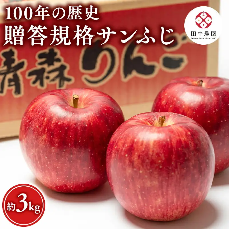 【レビューキャンペーン】≪12月発送 ≫ 100年の歴史 贈答規格サンふじ 約3kg 青森県平川市産[hi-0039-004]