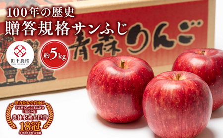 【レビューキャンペーン】≪12月発送 ≫ 100年の歴史 贈答規格サンふじ 約5kg 青森県平川市産[hi-0039-005]