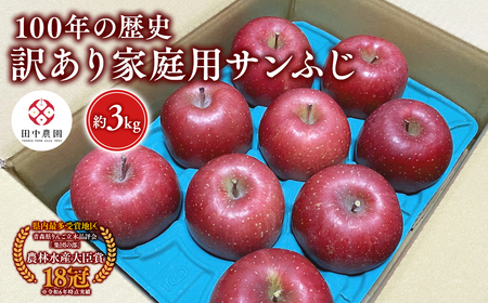 【レビューキャンペーン】≪12月発送 ≫100年の歴史 訳あり 家庭用サンふじ 約3kg 青森県平川市産[hi-0039-006]