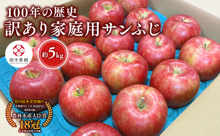 【レビューキャンペーン】≪12月発送 ≫ 100年の歴史 訳あり 家庭用サンふじ 約5kg 青森県平川市産[hi-0039-007]
