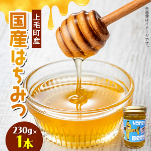 国産はちみつ（上毛町産）230g×1本 _T07806