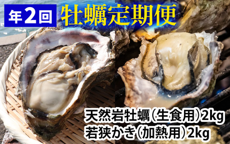 【定期便】【年2回】若狭の天然岩牡蠣（生食用）と若狭小浜ブランド 若狭かき（加熱用）2kg×2回 計4kg [BFAO014] 【配送不可地域：北海道・沖縄・離島】 