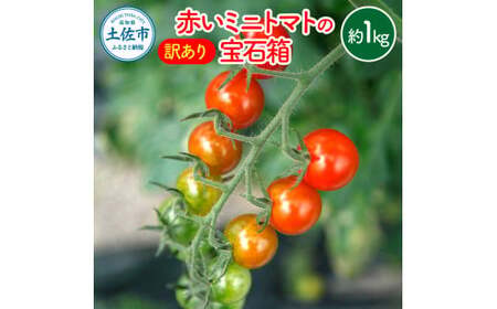【訳あり】【先行予約】訳あり 赤いミニトマトの宝石箱 約1キロ 約1kg〈2026年11月下旬?2027年5月下旬まで〉高知県 土佐市【ファーム輝】 [BQBM009]
