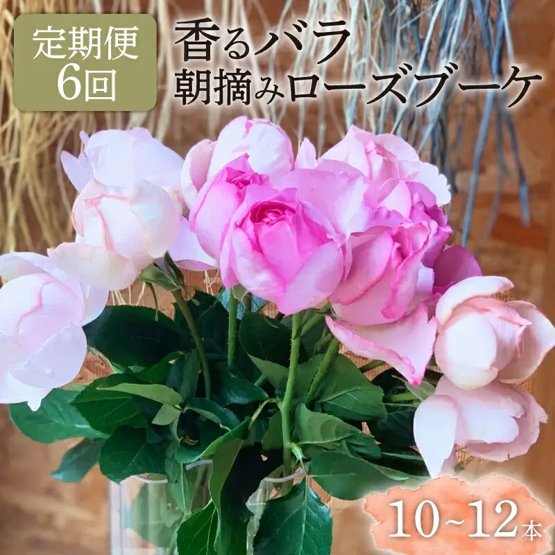 【6ヶ月定期便】 バラ 花束 ブーケ 朝摘み 薔薇 花  定期便 母の日 