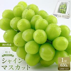 【定期便 全2回／2026年9・10月発送】 岡山県産シャインマスカット 晴王 1房 約650g  2回定期便　９月・１０月に１回づつお届け　種無し 皮ごと食べる 旬の美味しさ　フレッシュ 先行予約　ハレノフルーツ | フルーツ 果物 くだもの シャインマスカット 晴王  種なし 皮ごと フレッシュ 国産 岡山県産 食品 人気 おすすめ 送料無料 定期便 ギフト 贈り物 贈答品 プレゼント ぶどう ぶどう 葡萄 葡萄