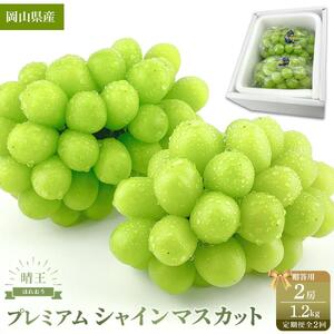 【定期便 全2回】2026年先行予約 プレミアム　シャイン　マスカット  晴王 ２房 約1.2kg  2回定期便　９月・１０月に１回づつお届け　岡山県産　船穂産　赤秀品  種無し 皮ごと食べる  フレッシュ 贈答用　ハレノフルーツ