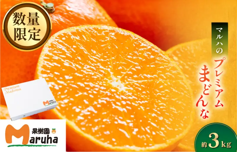 【先行予約】マルハ果樹園 プレミアムまどんな 12~15玉 化粧箱入
