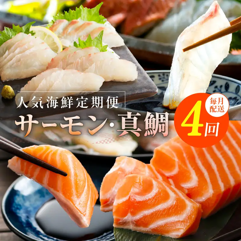 人気海鮮定期便 サーモン／真鯛 食べ比べ 全4回【毎月配送コース 小分け 訳あり 規格外 刺身 海鮮丼 人気 オススメ 冷凍】