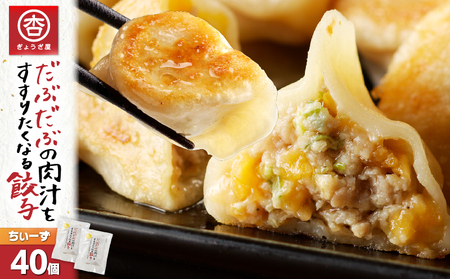 だぶだぶ の 肉汁 を すすりたくなる餃子ちぃーず 40個 T060-003 惣菜 総菜 加工食品