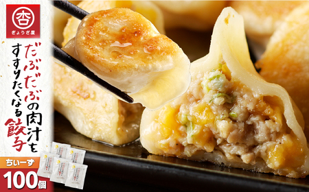 だぶだぶ の 肉汁 を すすりたくなる餃子ちぃーず 100個 T060-004 惣菜 総菜 加工食品
