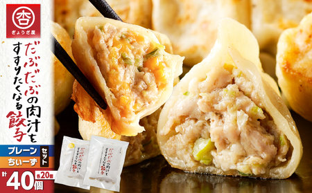 だぶだぶ の 肉汁 を すすりたくなる餃子 と 餃子ちぃーず セット T060-005 惣菜 総菜 加工食品
