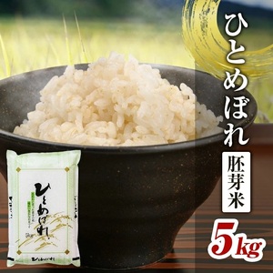 SA2837　令和7年産【胚芽米】ひとめぼれ　5kg×1袋　 YA