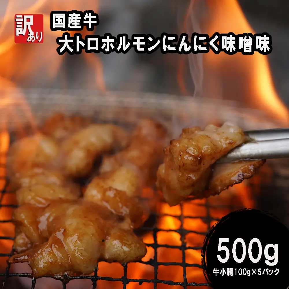訳あり 国産牛 大トロホルモン にんにく味噌味 500g （100g×5） ホルモン