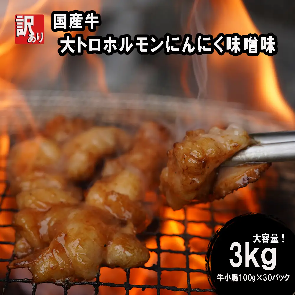 訳あり 国産牛 大トロホルモン にんにく味噌味 3kg （100g×30） ホルモン