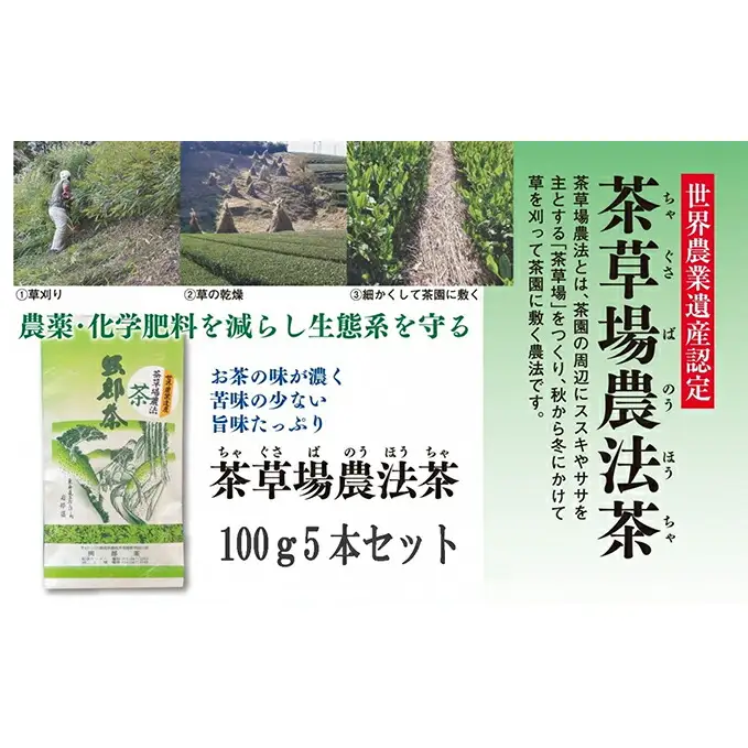 お茶 深蒸し茶 100g × 5本 セット   | 緑茶緑茶緑茶緑茶