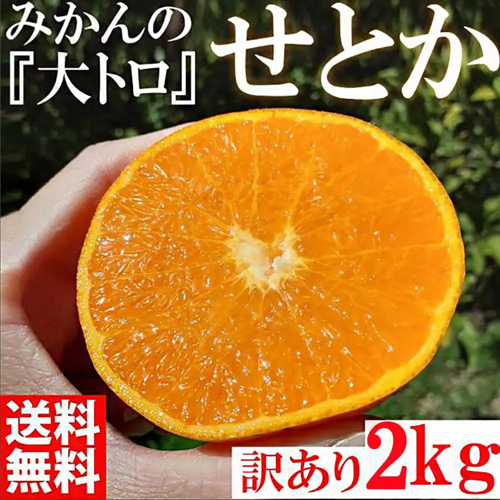 せとか  みかんの大トロ 約2kg 訳あり ブランド 和歌山 有田 みかん 農家直送 オレンジ フルーツ 果物
