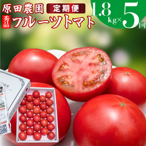 【ふるさと納税】定期便 5回【2026年12月下旬～順次発送】＜フルーツトマト 原田農園 約1,800g 大箱＞桃太郎【常温】送料無料 ＜毎年12月上旬頃まで申込受付＞