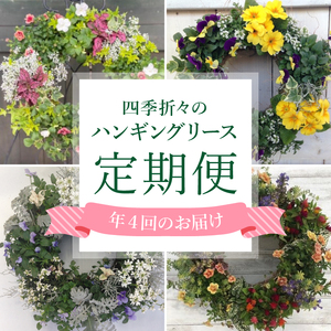 【年4回定期便】 花 ハンギング リース 花苗 植物 ガーデニング おまかせ 寄植え 季節 花 プレゼント インテリア フラワー 定期便 頒布会  | 花花花花