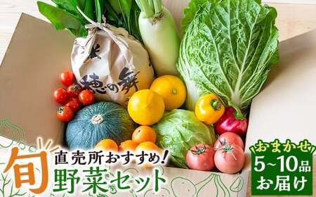 直売所おすすめ！旬野菜セット 5～10品目 ／ やさい 旬 野菜 詰合せ 詰め合わせ 新鮮 産地直送 ふるさと  おまかせ お楽しみ きんかい味彩市 長崎県 長崎市