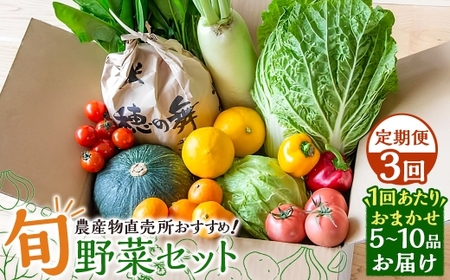 【全3回定期便】 農産物直売所おすすめ！ 旬野菜 セット 5～10品目 ／ やさい 旬 野菜 詰合せ 詰め合わせ 新鮮 産地直送 ふるさと おまかせ お楽しみ きんかい味彩市 長崎県 長崎市