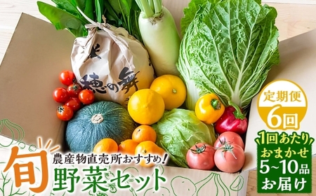 【全6回定期便】 農産物直売所おすすめ！ 旬野菜 セット 5～10品目 ／ やさい 旬 野菜 詰合せ 詰め合わせ 新鮮 産地直送 ふるさと おまかせ お楽しみ きんかい味彩市 長崎県 長崎市