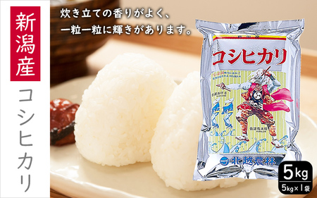 こしひかり 新潟産コシヒカリ 5kg 米 お米 こめ コメ ごはん 新潟 米 白米 コシヒカリ ブランド米 銘柄米 お取り寄せ 産地直送 