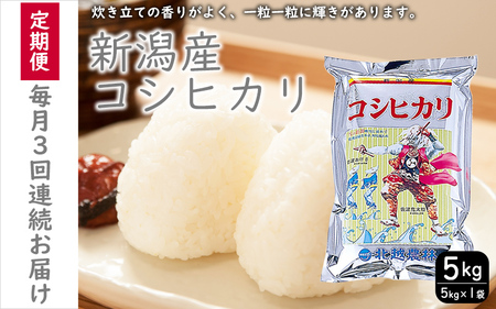 こしひかり 新潟産 コシヒカリ 5kg 毎月3回 連続でお届けします。定期便 米 お米 こめ コメ ごはん 新潟 白米 コシヒカリ ブランド米 銘柄米 お取り寄せ 産地直送 