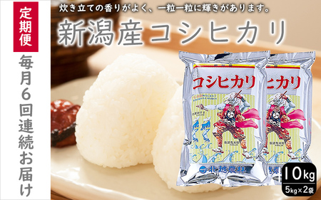 こしひかり 新潟産 コシヒカリ 10kg 毎月6回 連続でお届けします。定期便 米 お米 こめ コメ ごはん 新潟 白米 コシヒカリ ブランド米 銘柄米 お取り寄せ 産地直送 