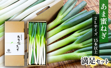 ねぎ　 あま蜜ねぎ 満足セット【野菜 ねぎ ネギ 長ネギ】 | 三重県津市
