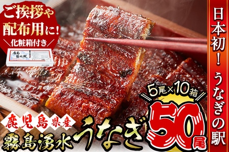 【数量限定】【化粧箱10箱】ご挨拶・配布用にも！鹿児島県産 山田水産の霧島湧水鰻＜計50尾(5尾×10箱)/計8kg(1尾あたり160g)＞ wc5-002-yy