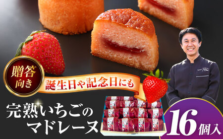 いちごのマドレーヌ いちご農園 16個入 マドレーヌ【配達不可：離島】[AEAU007]