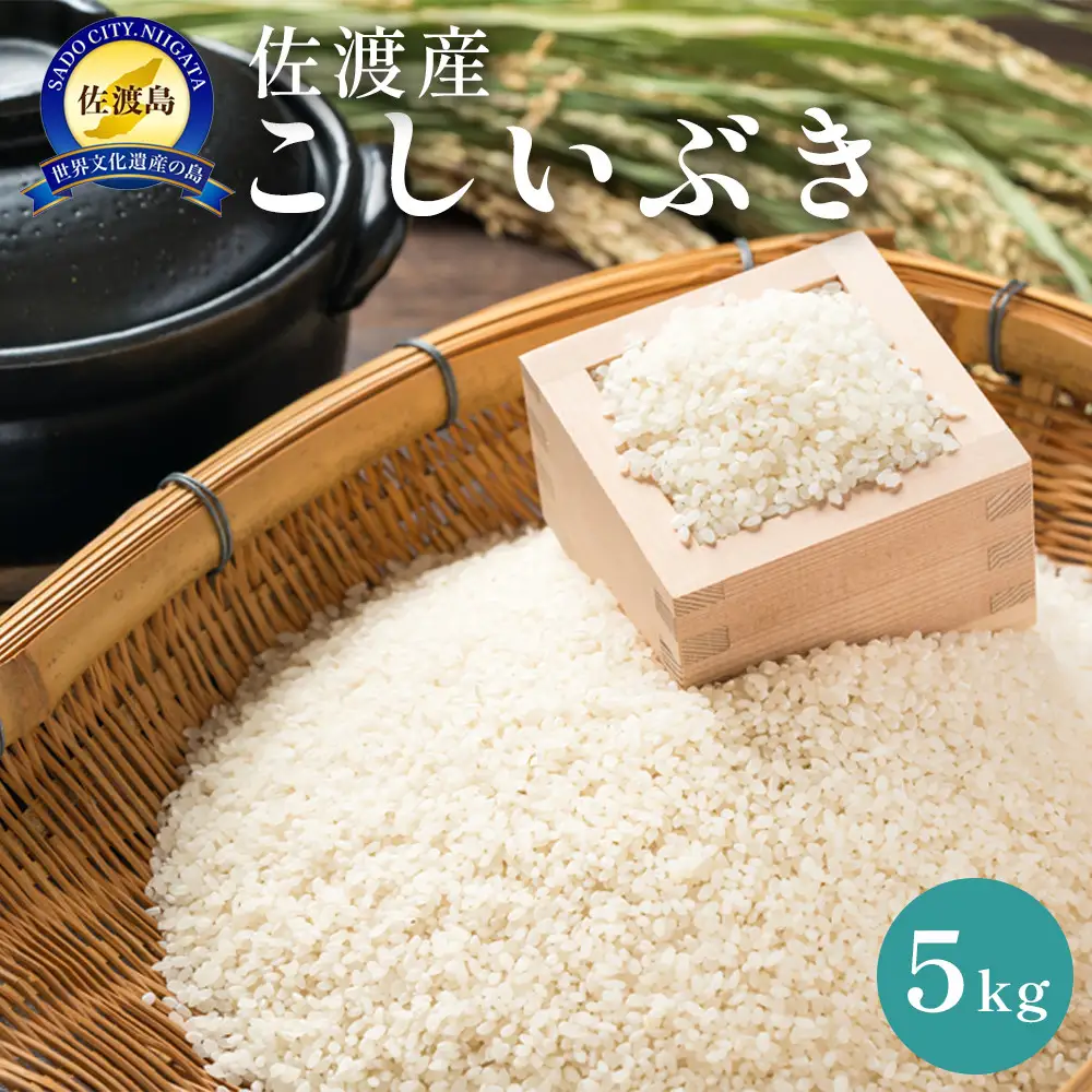 佐渡島産　こしいぶき　5kg　令和7年産