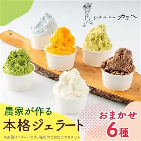 福岡県産 農家が作る本格ジェラート　　6種類おまかせセレクション_菓子・スイーツ アイス・ジェラート  _【配送不可地域：離島】【1542987】